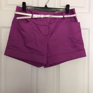 Express Editor Cotton Shorts NWT